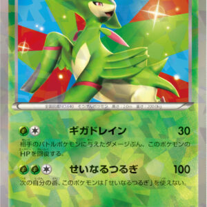 Virizion [P]039/BW-P [Others]