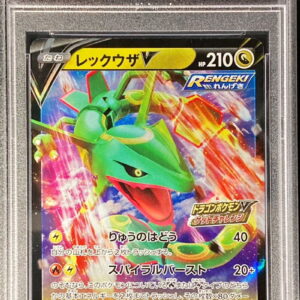[PSA 10 Graded] Rayquaza V (RR specification) [P]210/S-P [Others]
