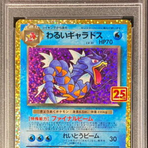 [Difficult condition/PSA 10 Graded] Bad Gyarados (25th) [P]005/025 [Difficult condition/Appraised card]