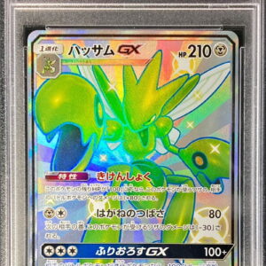 [PSA 10 Graded] Hassam GX [SSR]233/150 [Others]