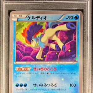[PSA 10 Graded] Keldeo[-]013/036 [Other]