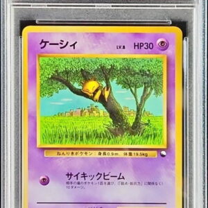 [PSA 10 Graded] Casey LV.8 [-] Old back [Others]