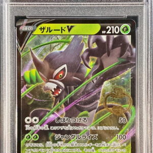 [PSA 10 Graded] Zarudo V[P]108/S-P [Others]