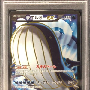 [PSA 10 Graded]Hoel-O EX[SR]071/070 [Others]