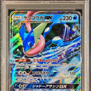 [PSA 10 Graded] Gekkouga GX[RR]033/150 [Others]