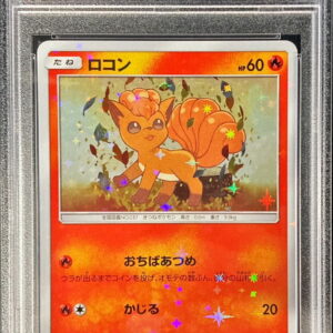 [PSA 10 Graded] Rocon [P]146/SM-P [Others]