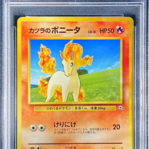 [PSA 10 Graded] Wig Ponyta LV.13 [-] Old back [Others]