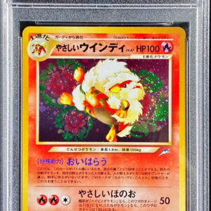 [PSA 10 Graded] Easy windy LV.47 [★] Old back [Others]