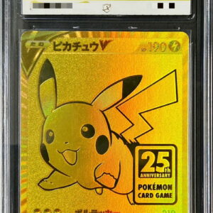 [ACE9 verified] Pikachu V[-]001/015 [Others]