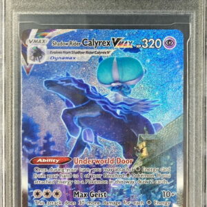 [DSG10 appraised] Kokuba Badrex VMAX (SA specification/English version) [-]205/198 [Other]