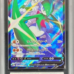 [ARS10+ Appraised] El Raid V [CSR] 089/071 [Others]