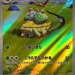 Hayashi Turtle [AR]072/071 [ SV5K ]