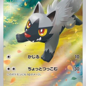 [NM-] Poochyena [AR]208/172 [ [NM-]S12a ]