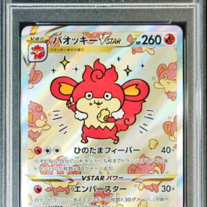 [PSA 10 Graded] Baocki VSTAR[SAR]214/172 [Others]