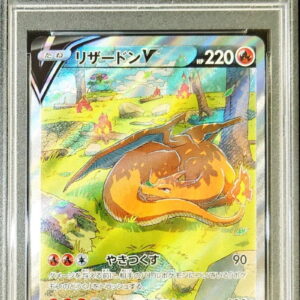 [Difficult Condition/PSA 10 Graded] Charizard V[SAR]211/172 [Difficult Condition/Appraised Card]