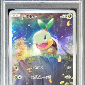 [PSA 10 Graded] Naetl [AR]206/172 [Others]