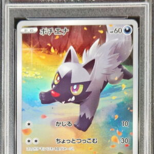 [PSA 10 Graded] Poochyena [AR]208/172 [Others]