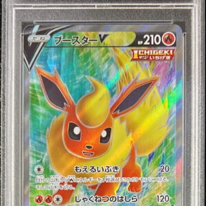 [Difficult Condition/PSA 10 Graded] Booster V[SR]072/069 [Difficult Condition/Appraised Card]