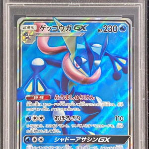 [PSA 10 Graded] Gekkouga GX[SR]095/094 [Others]