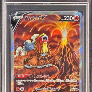 [PSA 10 Graded]Entei V[SAR]213/172 [Others]