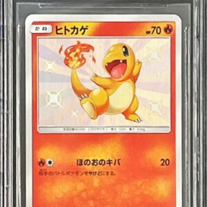 [BGS10 appraised] Charmander [S] 166/150 [Others]