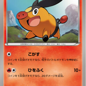 Pokabu[P]019/BW-P [Others]