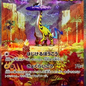 Takeru Raiko ex[SAR]095/071 [SV5K]