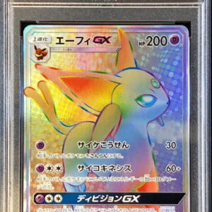 [PSA 10 Graded] Efi GX[HR]068/060 [Others]
