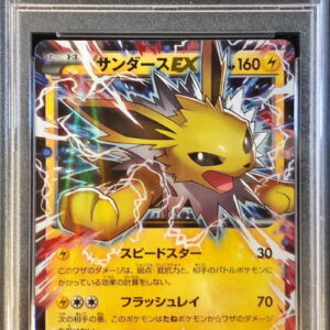 [PSA 10 Graded] Sanders EX[P]195/XY-P [Others]