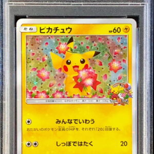 [PSA 10 Graded] Pikachu [P]224/SM-P [Others]