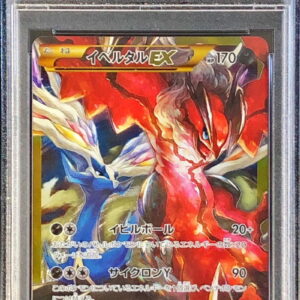 [PSA 9 appraised] Yveltal EX (UR specification) [-]187/171 [Others]