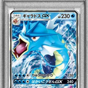 [PSA 10 Graded] Gyarados GX (RR specification) [-]015/051 [Others]