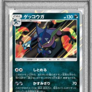 [PSA 10 Graded] Gekkouga[R]028/055 [Others]