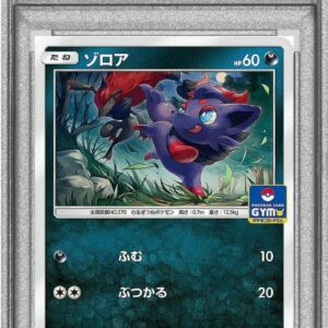 [PSA 10 Graded]Zorua[P]105/SM-P [Others]