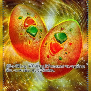 Nakayoshi Poffin [UR]133/101 [ SV6 ]