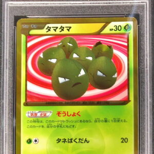 [PSA 10 Graded] Tama Tama [UR]083/076 [Other]