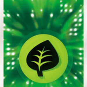 [Light Played] Basic Grass Energy (Quick) [-]/ [ [Light Played] Others ]