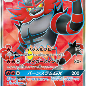 [NM-]Gaogaen GX[SR]053/051 [ [NM-]sm1 ]