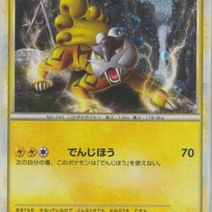 [NM-]Raikou[P]061/L-P [[NM-]Others]