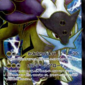 [NM-]Raikou EX[SR]071/069 [[NM-]Others]