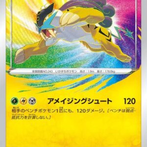 [NM-]Raikou[A]015/076 [ [NM-]s3a ]