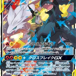 Reshiram & Zekrom GX[RR]036/049 [sm11b]