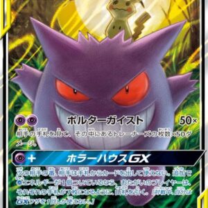 Gengar & Mimikyu GX[RR]038/095 [sm9]