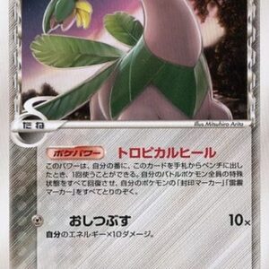 [NM-] Tropius delta species [★]063/068 [ [NM-]Others ]