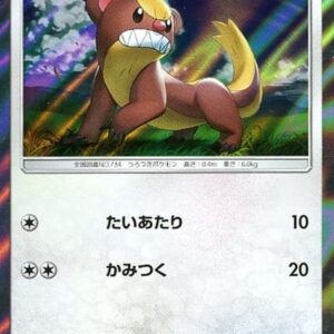 [NM-] Young Goose [P]004/SM-P [ [NM-]Others ]