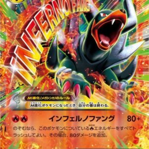 M Herger EX[RR]010/059 [ XY ]