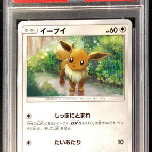 [PSA 10 Graded]Eevee[-]109/173 [Other]