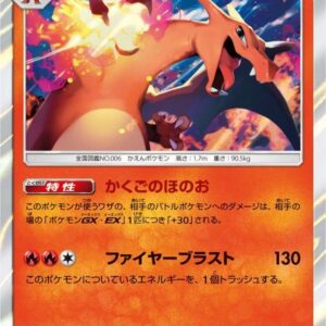 [NM-]Charizard[R]003/053 [[NM-]sm6]