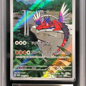 [ARS9 appraised] Collidon (AR specification) [P]049/SV-P [Others]