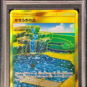 [PSA 10 Graded] Seseragi no Oka [UR]118/095 [Other]